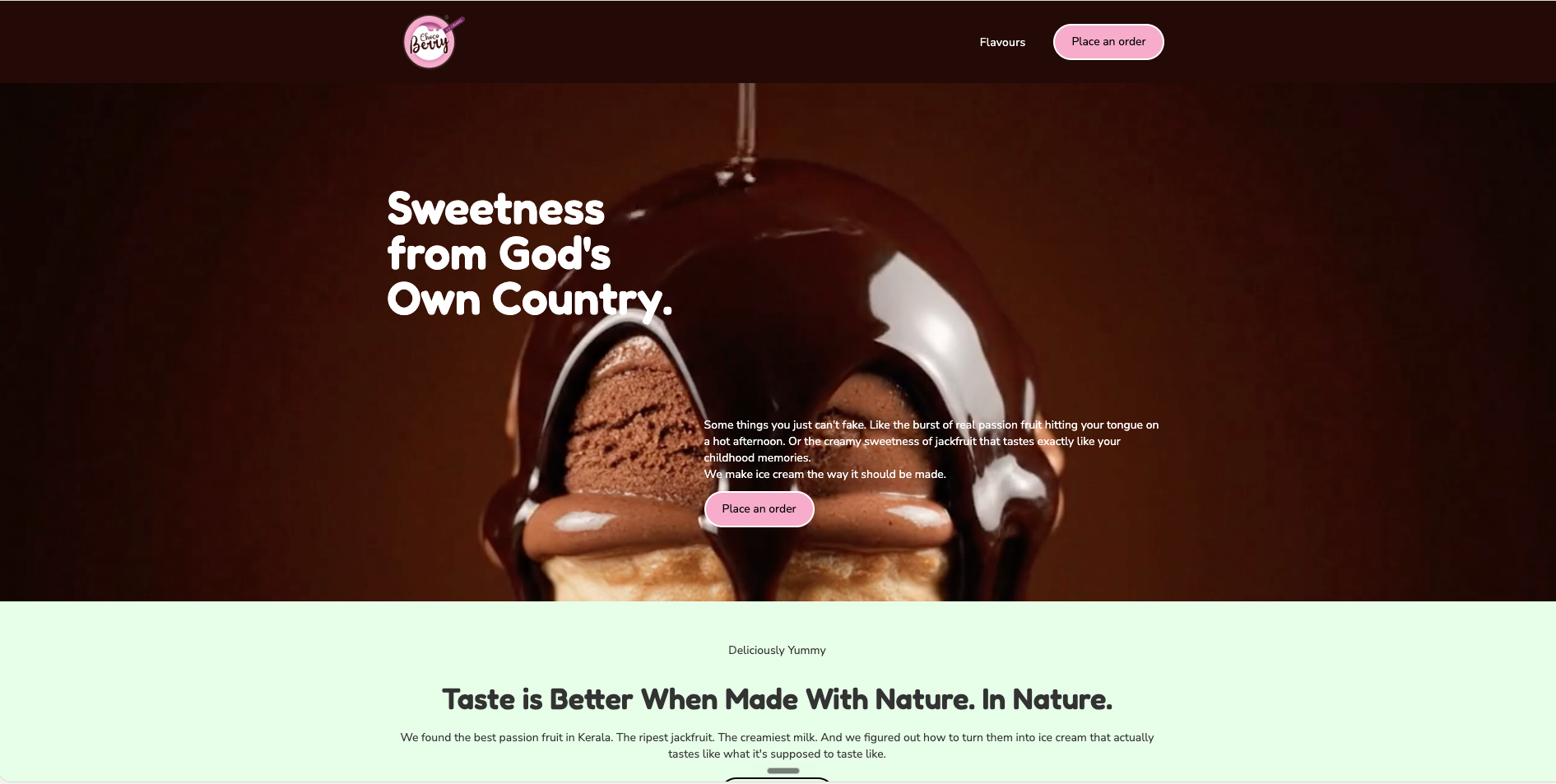 Choco Berry Ice Creams case study